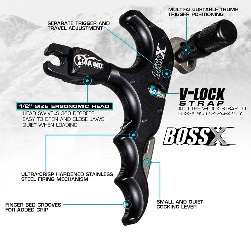 https://arrowbow.eu/media/catalog/product/b/o/boss-x-datasheet.jpg