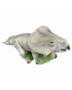 Eleven Target 3D Protoceratops with Insert