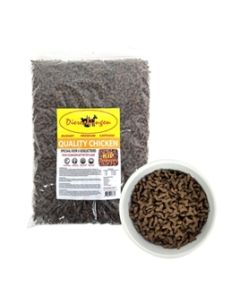 Budget Premium Quality Chicken – 1 kg Kattenbrokken