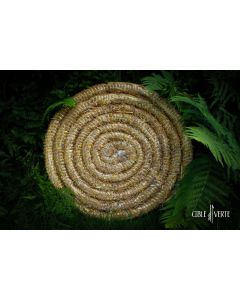 StrawTarget 60/9